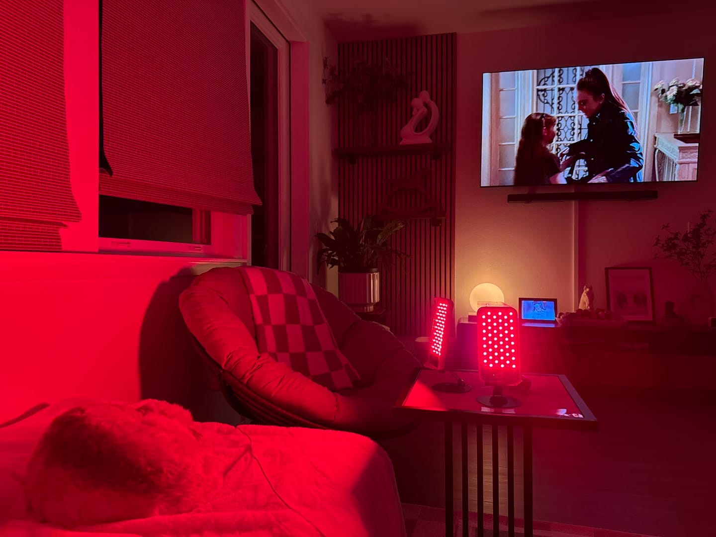 Customer photo review of Red & Infrared Recovery Light Panel