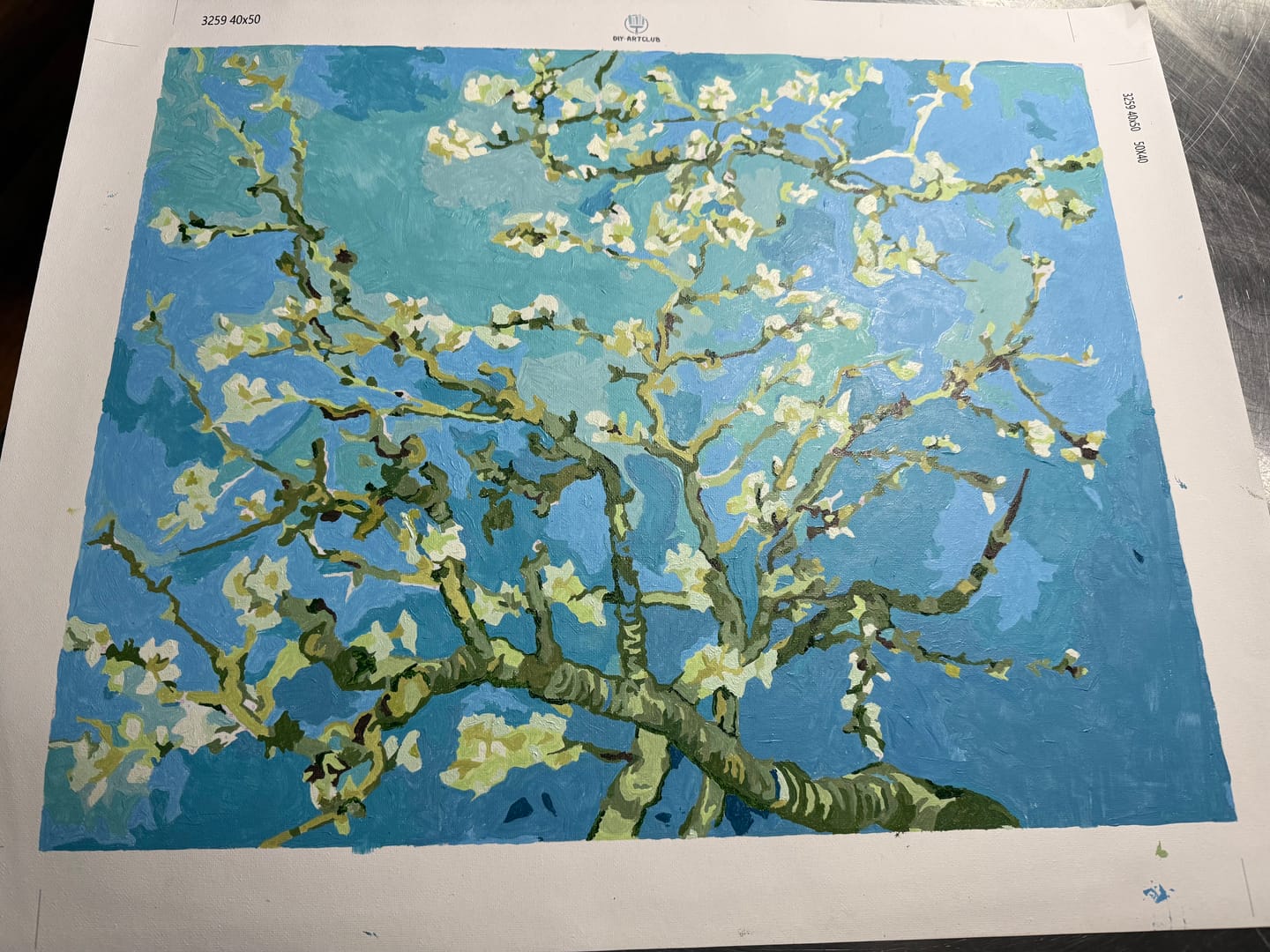 Customer photo review of Almond Blossoms | Vincent Van Gogh | Paint by Numbers