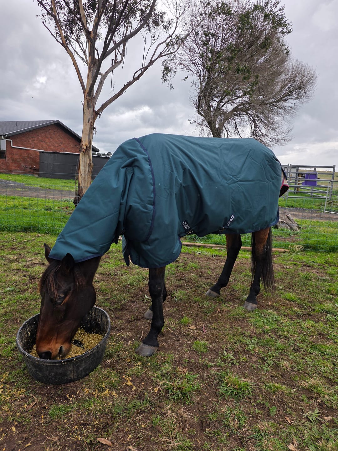 Customer photo review of Amigo Ripstop 900D Plus Turnout 100g