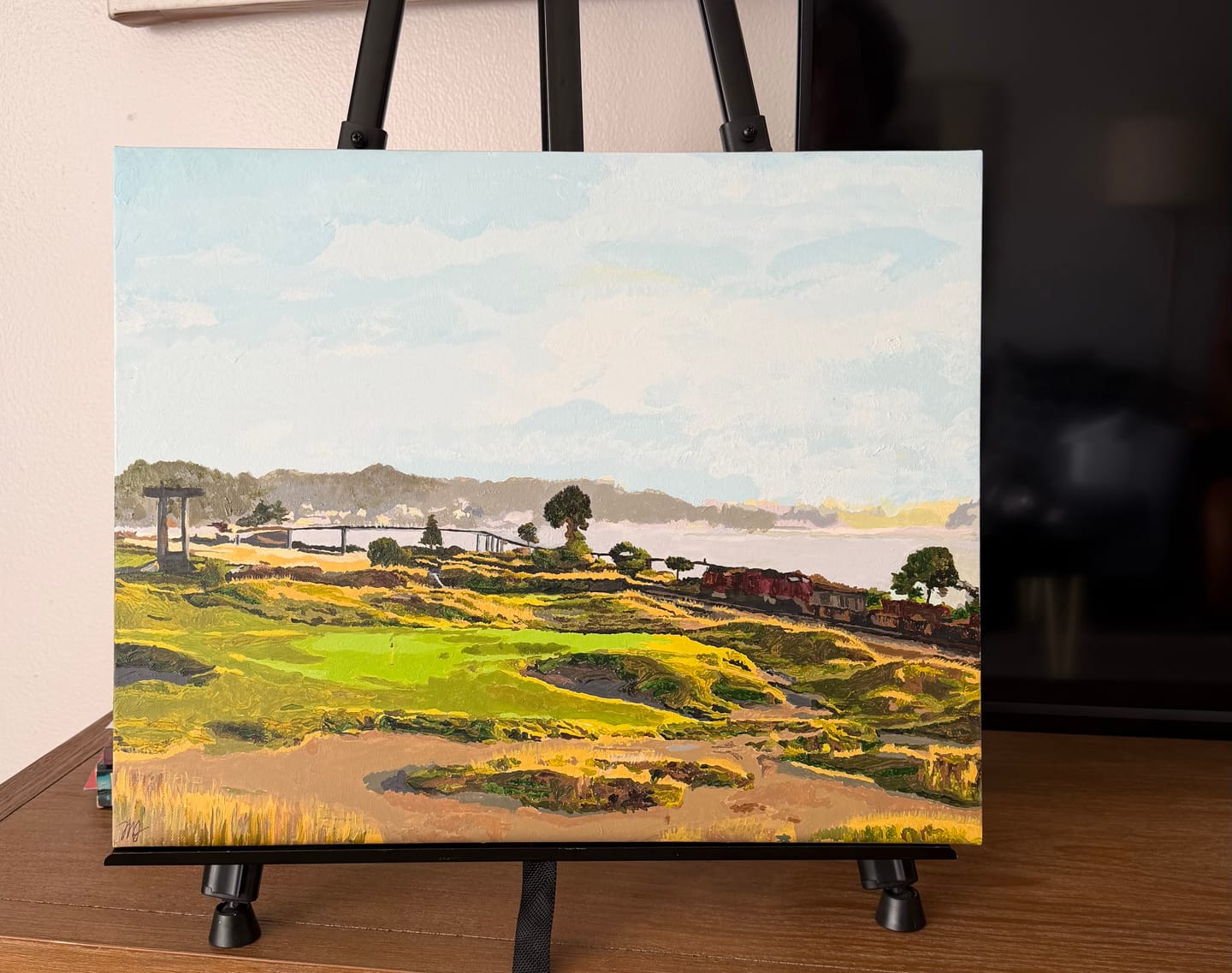 Customer photo review of Custom Paint by Numbers Kit for Personalized Artwork