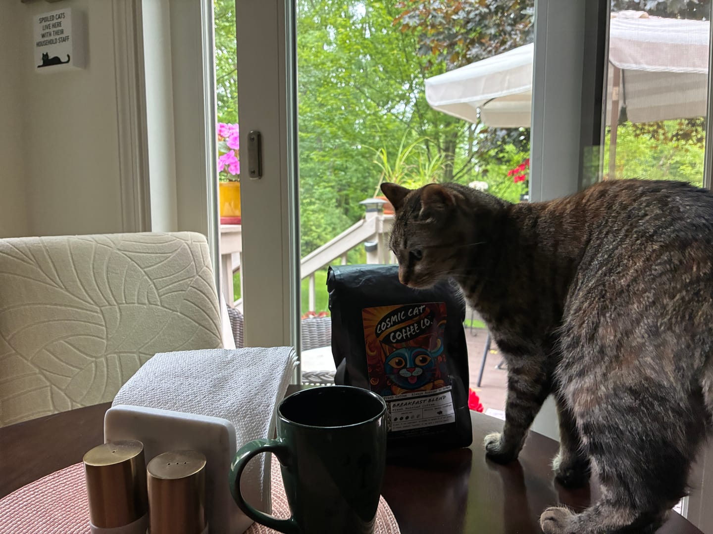 Customer photo review of Breakfast Blend