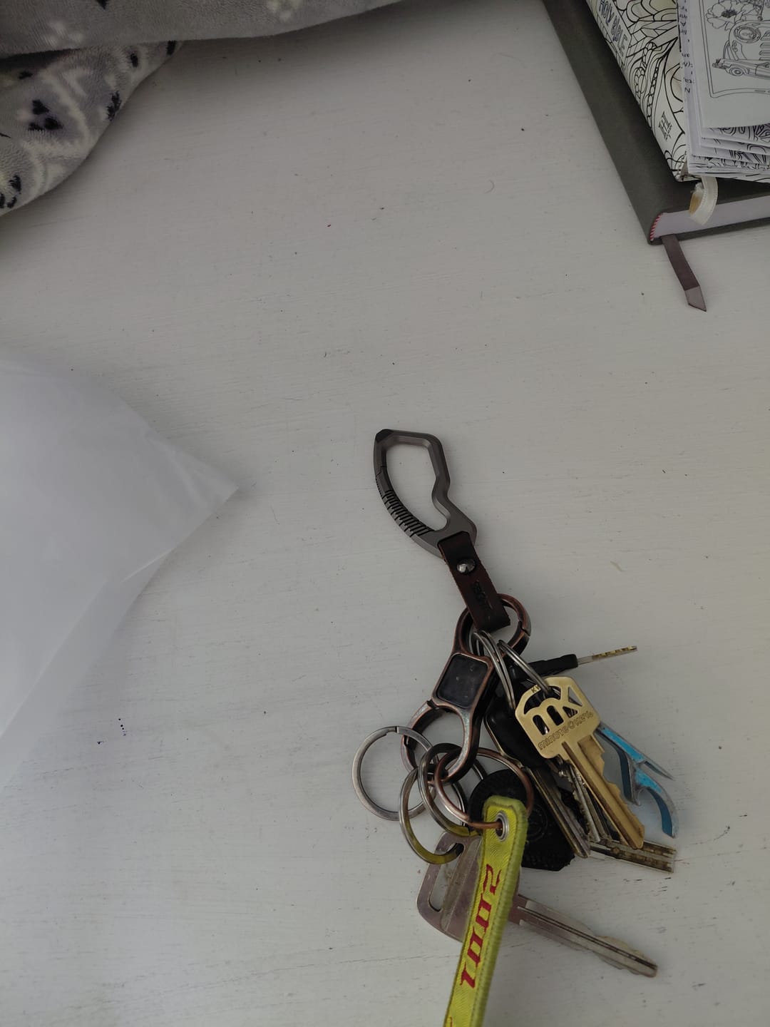 Customer photo review of 80Eighty®  Titanium Carabiner Keychain