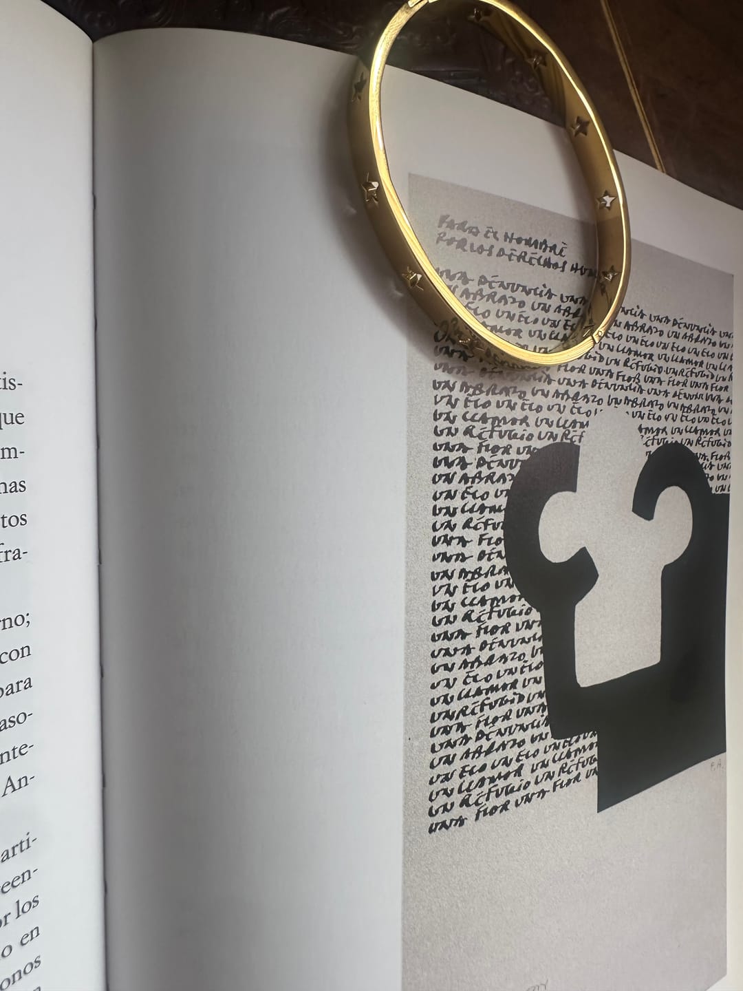 Customer photo review of Brazalete Star