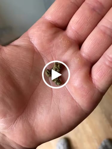 Customer video review of CALI MIX AAA+ – Premium Selection