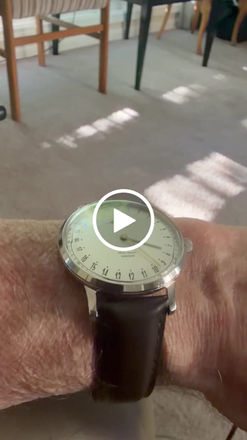 Customer video review of First Season Silver White with Brown Leather