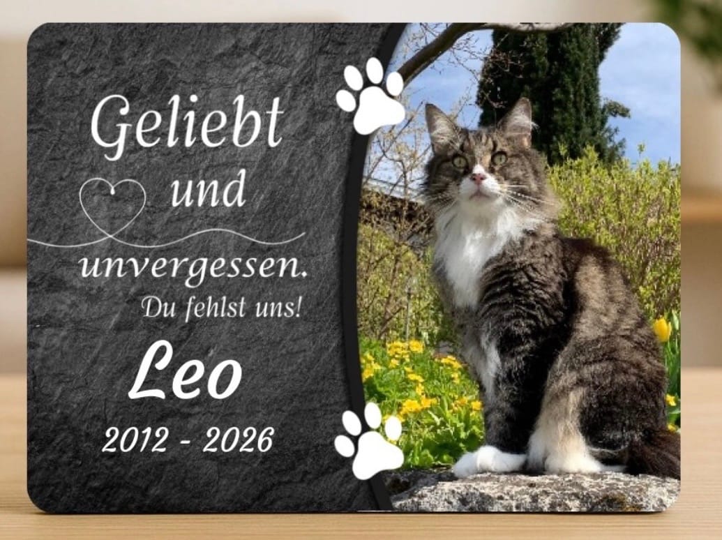 Customer photo review of Katzen Gedenktafel mit Foto & Spruch (UV- & Wetterfest)