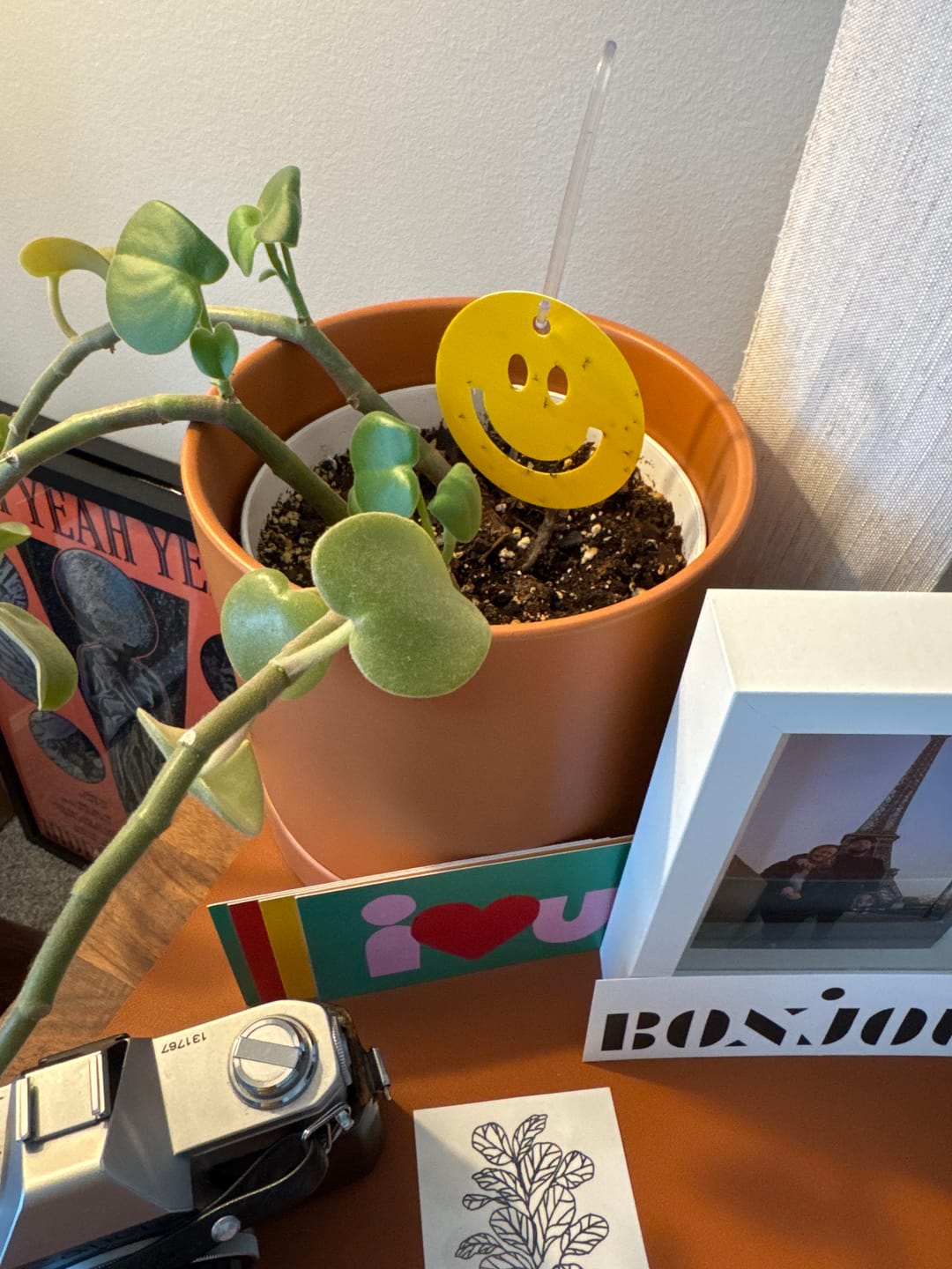 Customer photo review of Killer Smiles