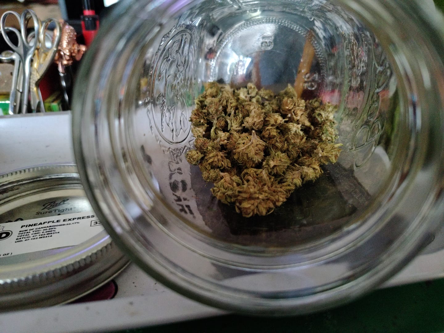 Customer photo review of Pineapple Express - Minis - 28 Grams - Sativa