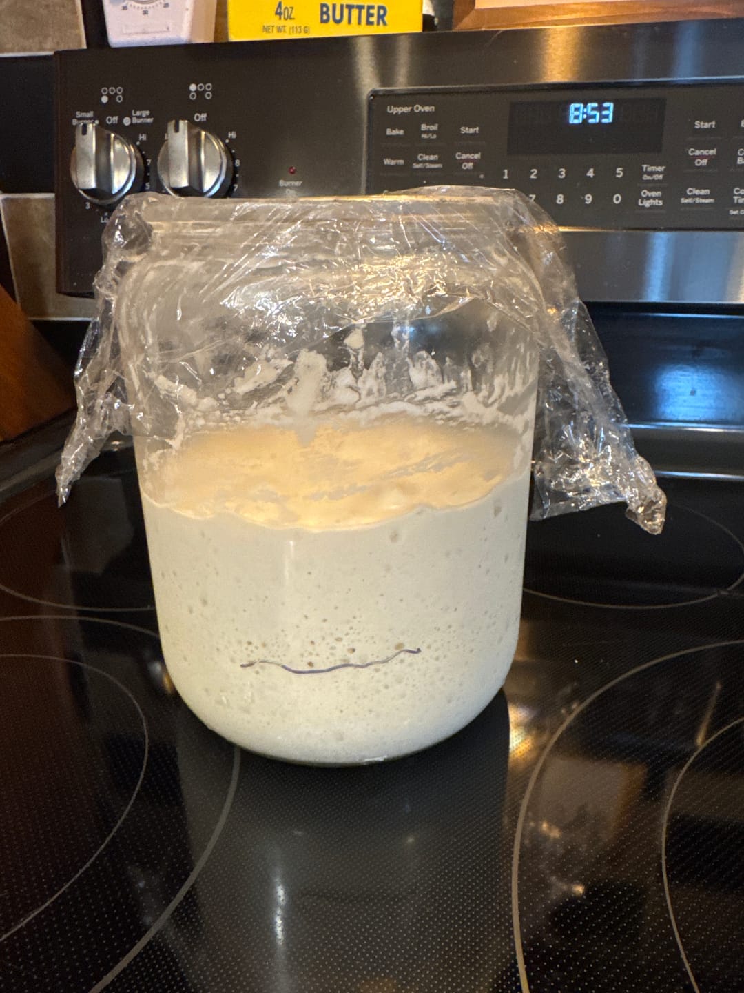Customer photo review of Live 119 Year Old Valrhona CHOCOLATE Sourdough Starter Includes Maintenance PDF & Chocolate Noir Loaf Recipe