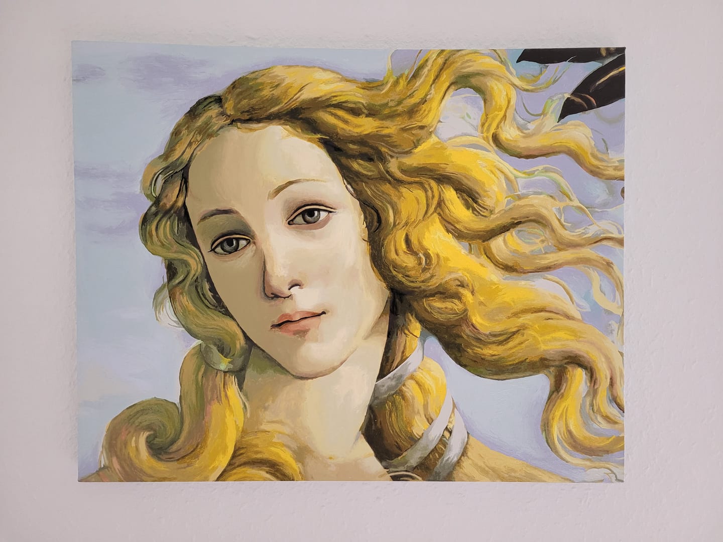 Customer photo review of Venus (detail)
