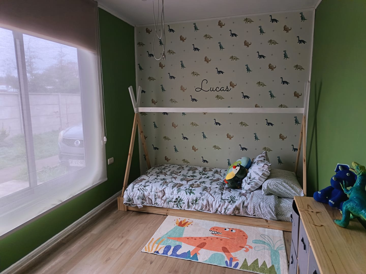 Customer photo review of Dinosaurios M1