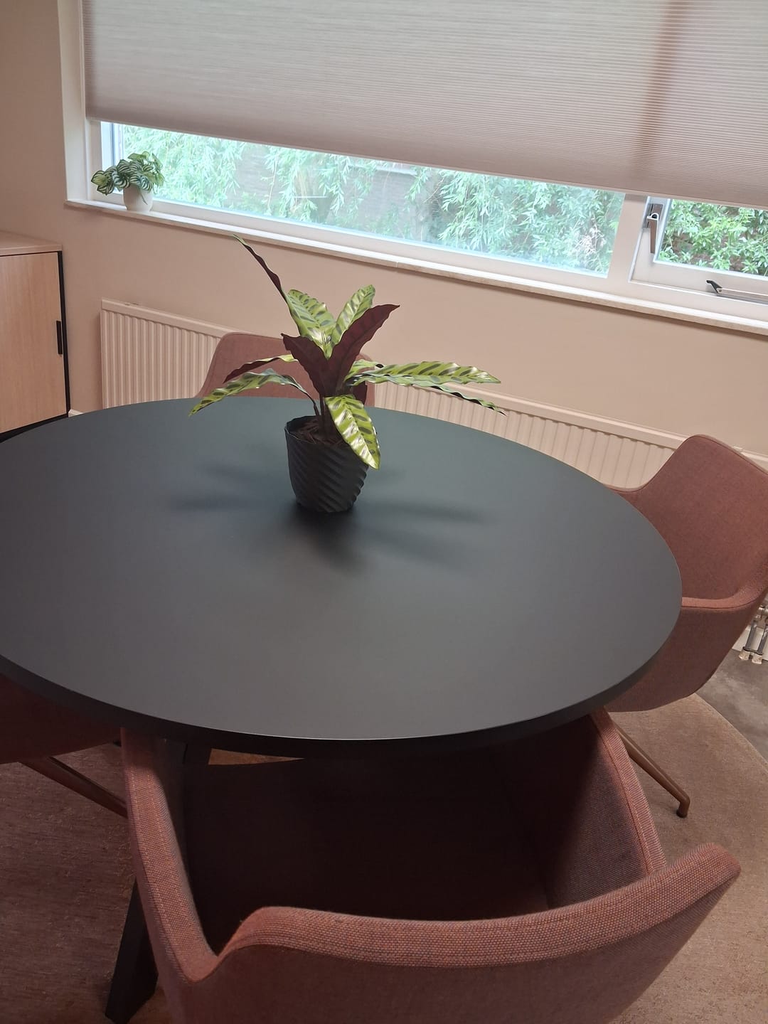 Customer photo review of Calathea Kunstplant 45cm
