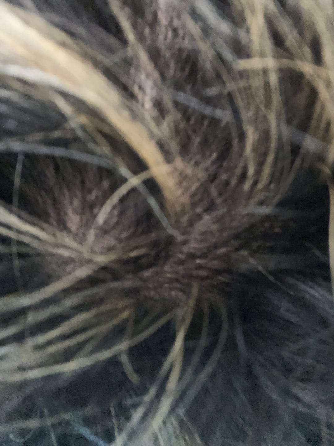 Customer photo review of 期間限定オファー | ¥10,000分ギフトカード