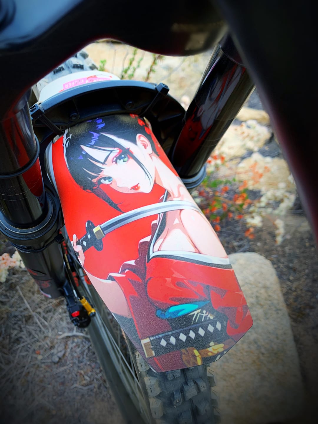 Customer photo review of Custom Fender