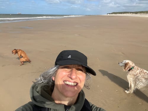 Anmelder på en gåtur på stranden med to hunde.