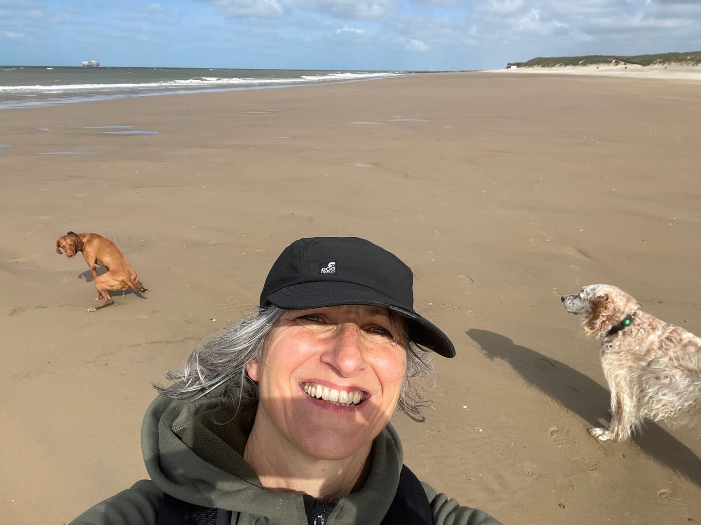 Customer photo review of FeelFree Dog Walker Zip T-shirt I Rosewood I Sammy