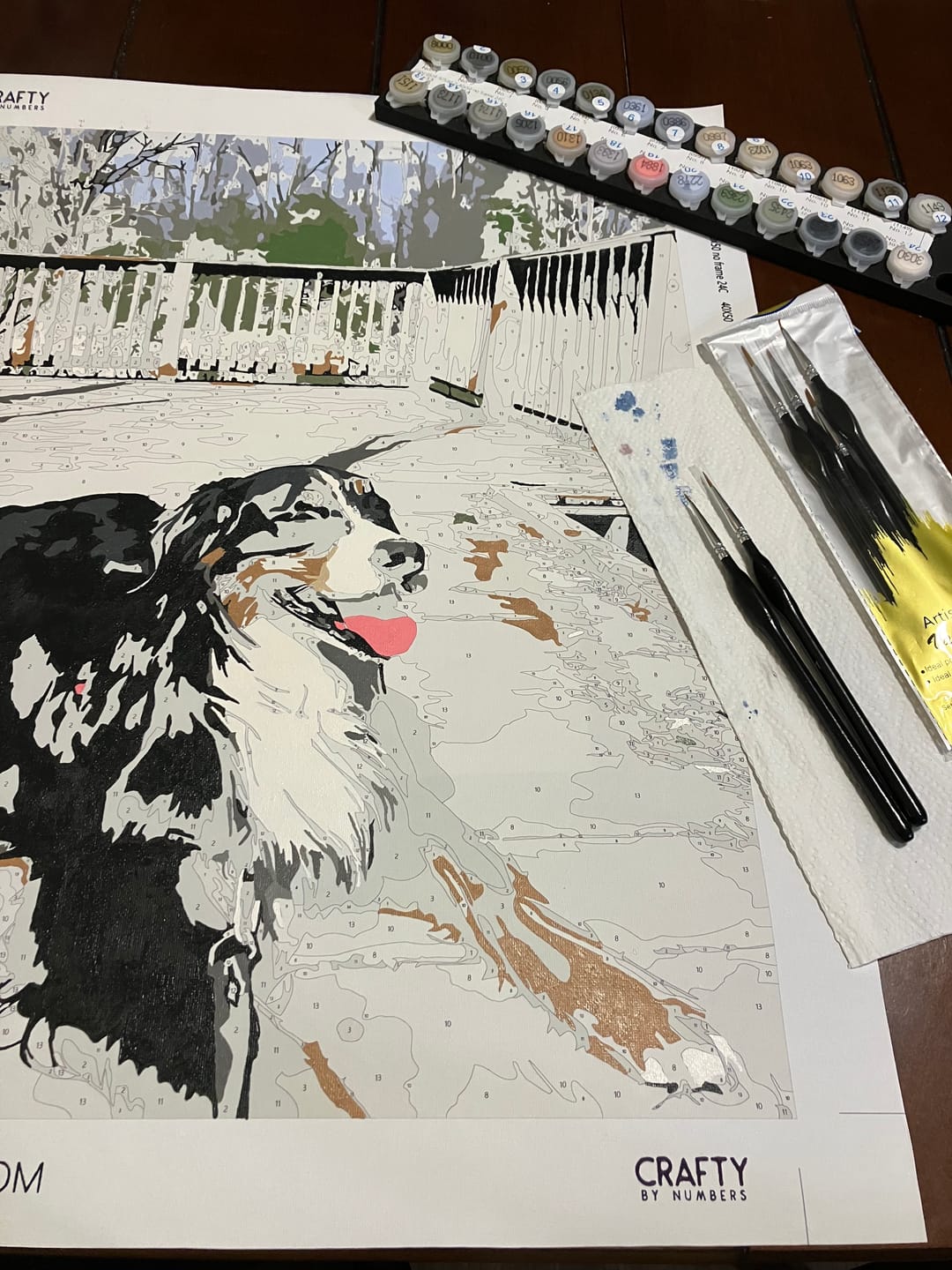 Customer photo review of Custom Paint by Numbers