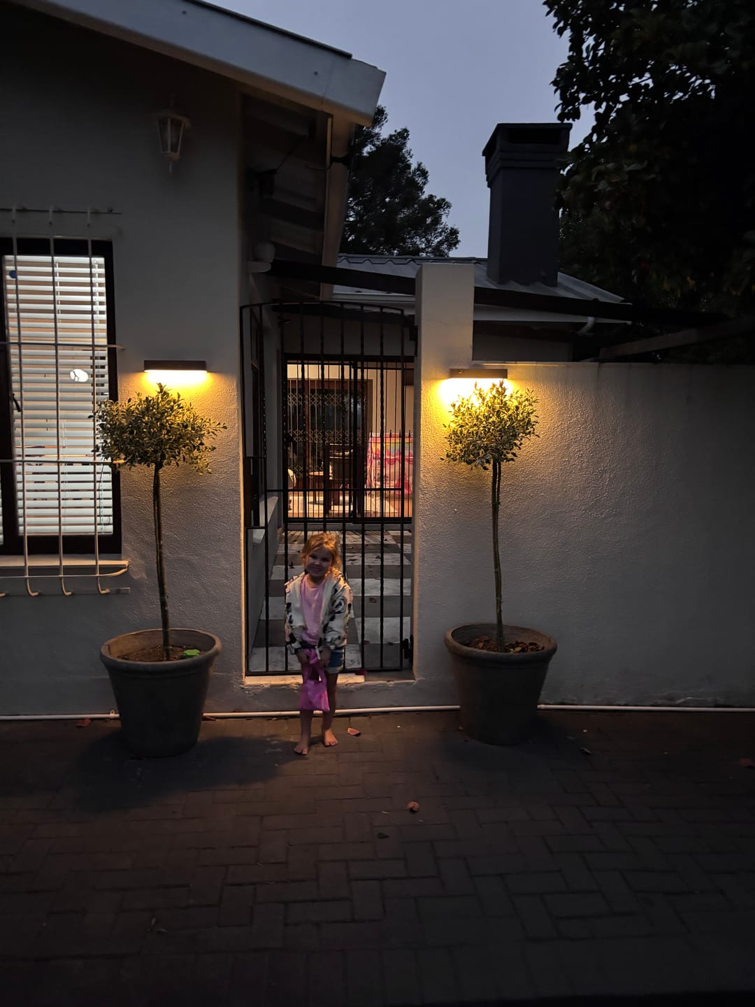 Customer photo review of Solar Wall Light with Motion Sensor