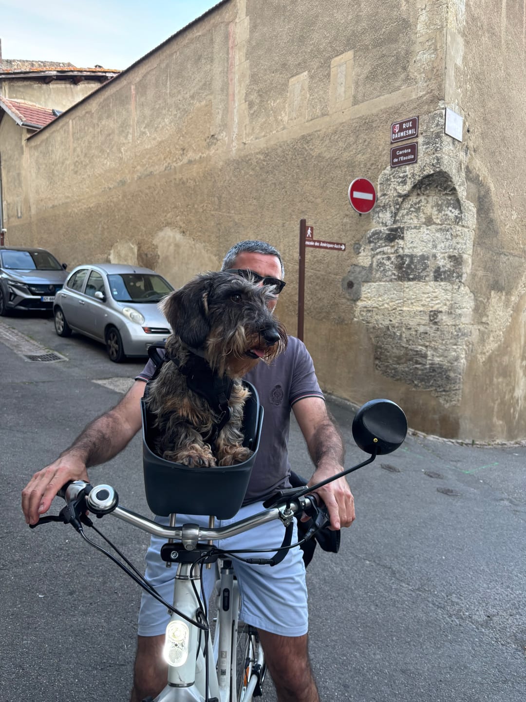 Customer photo review of Kvisp Dog Bike Carrier