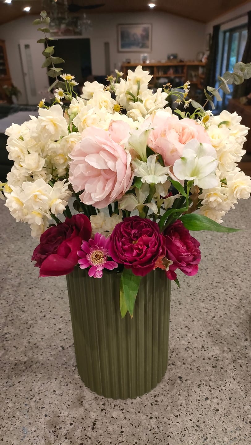 Customer photo review of Frankie XL