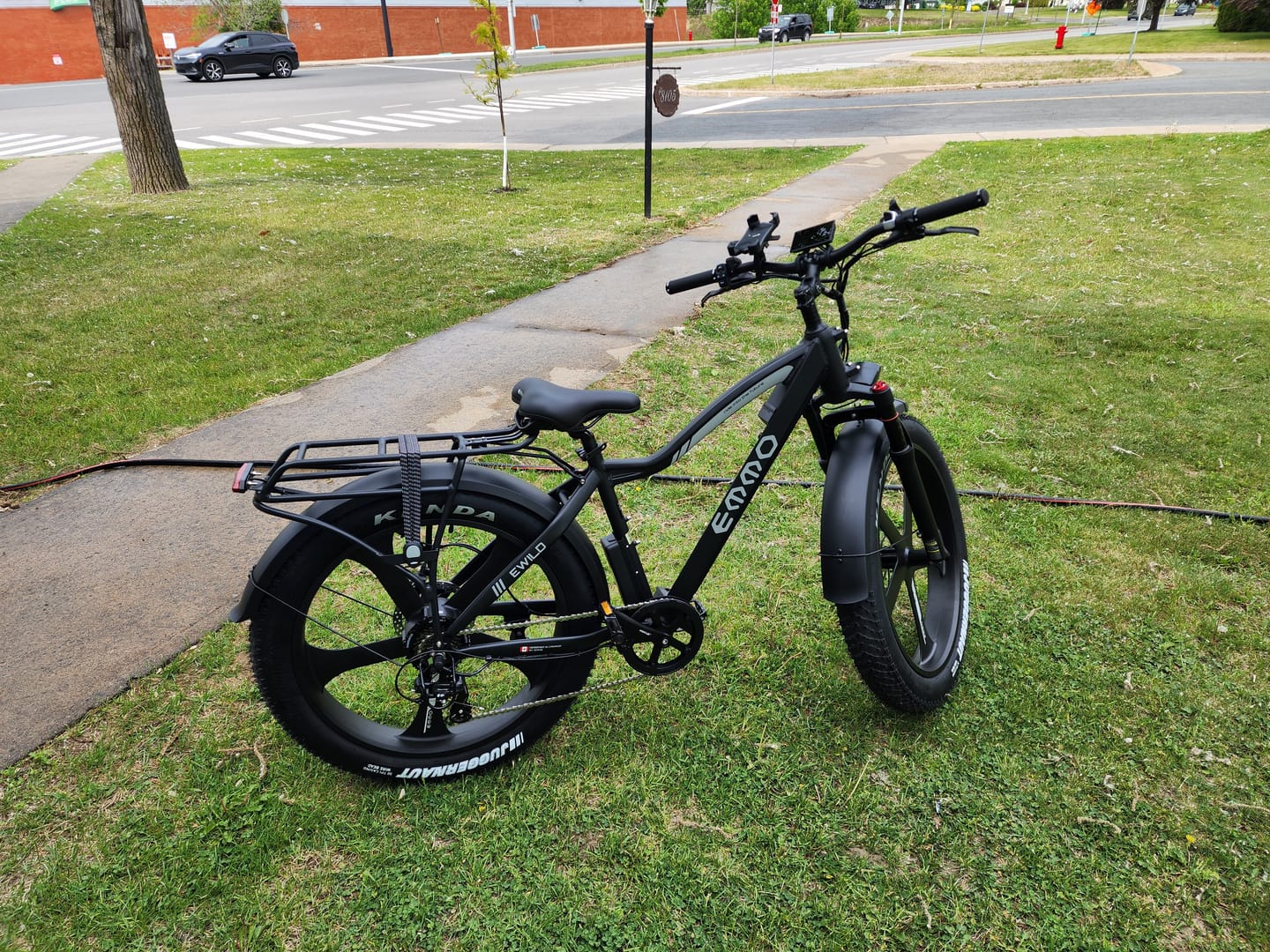 Customer photo review of E-Wild Pro Ebike
