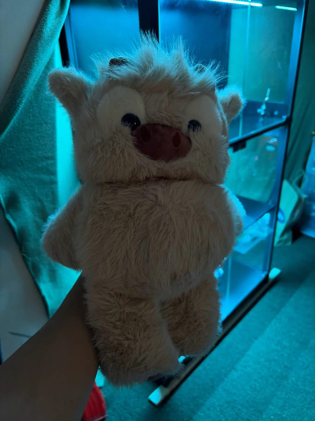 Customer photo review of La peluche vache qui court quand on l’agite | Floomie®