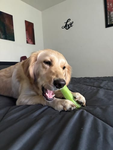 Customer review