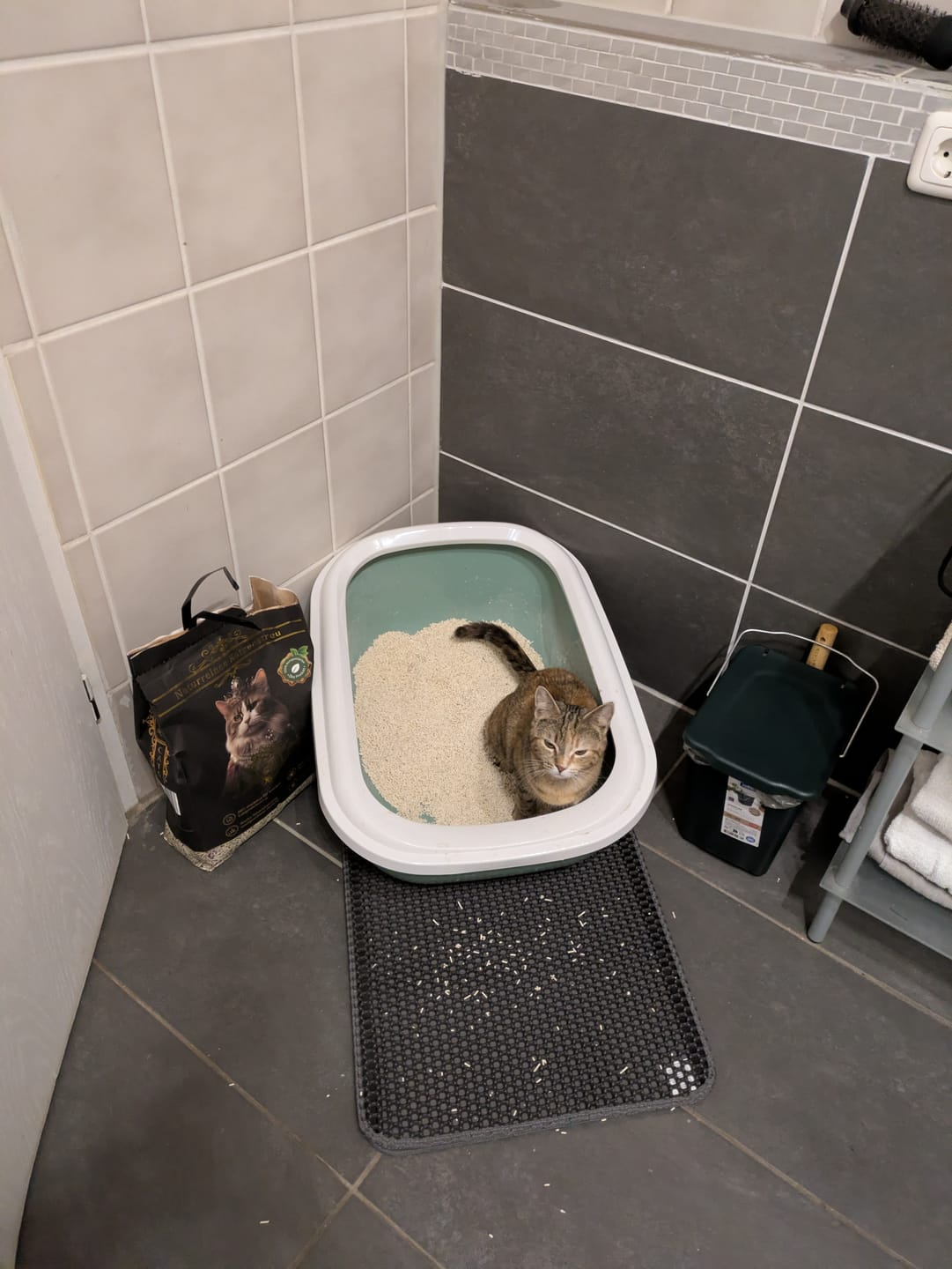 Customer photo review of Katzenstreu Aktion