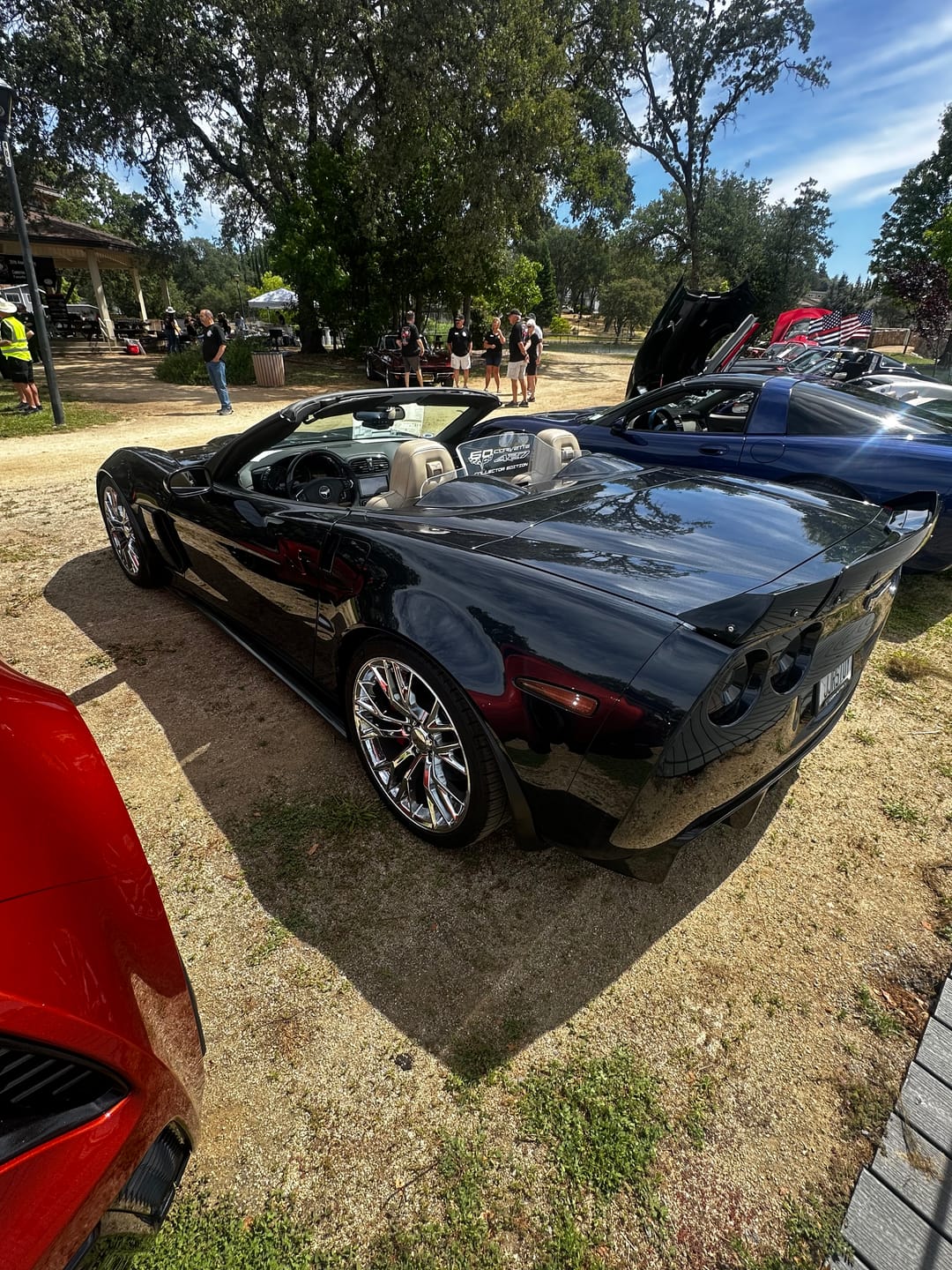 Customer photo review of Corvette C6 | ZR1 Extended Side Skirts With Mudflaps