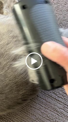 Cepillando a un gato con PetHair Pro