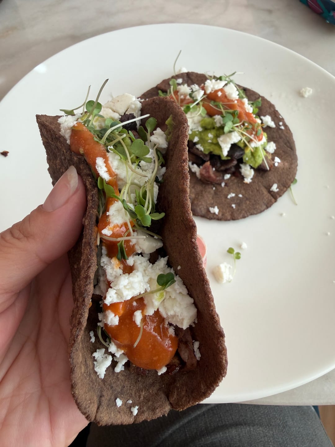 Customer photo review of Maíz rojo chac chob Masaharina – Landrace Corn Masa