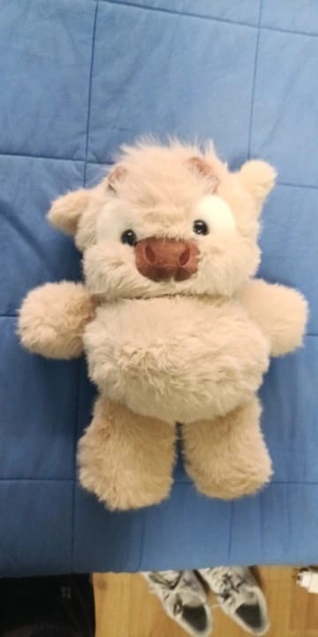 Customer photo review of La peluche vache qui court quand on l’agite | Floomie®