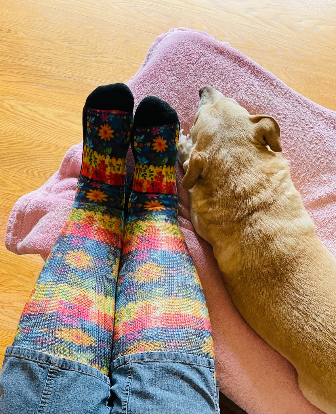 Customer photo review of Spring Picnic EasyStretch™ Socks