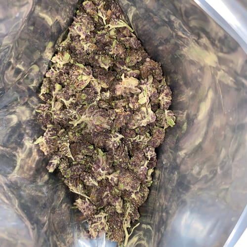 Customer photo review of Light Assist THCA Smalls