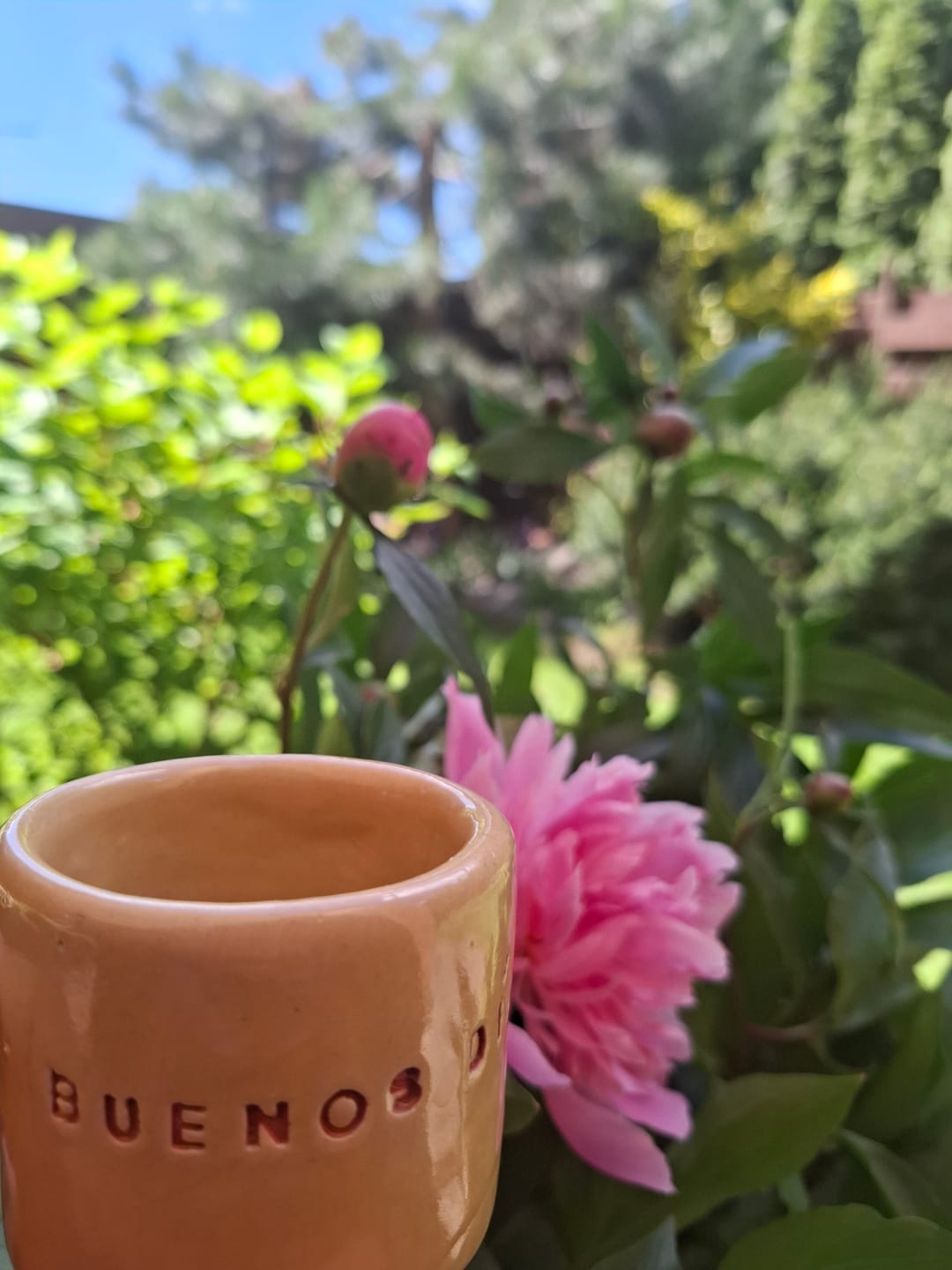Customer photo review of Small Mug BUENOS DIAS