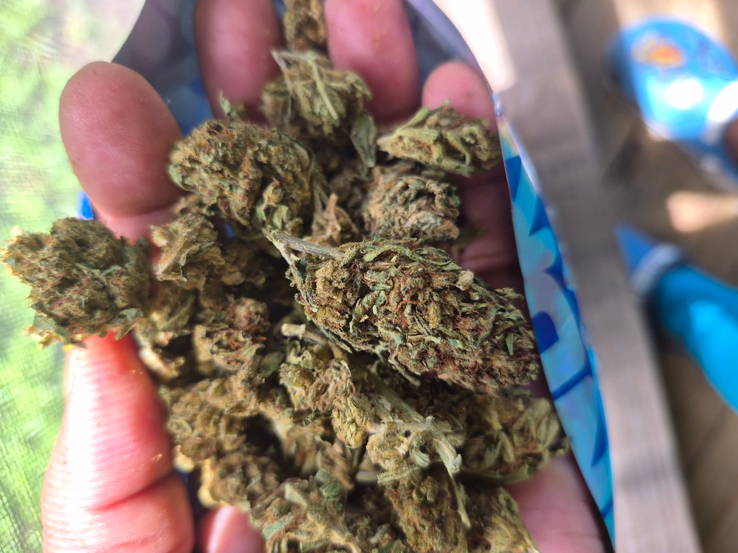 Customer photo review of Chem Dawg - Bulk - Hybrid