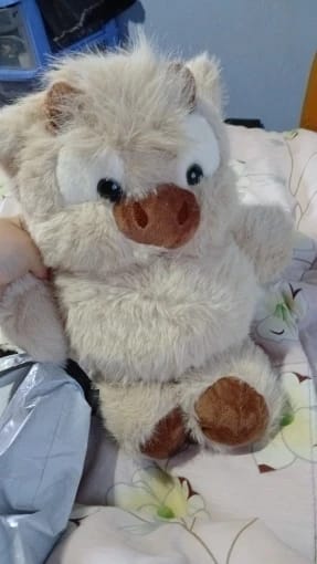 Customer photo review of La peluche vache qui court quand on l’agite | Floomie®
