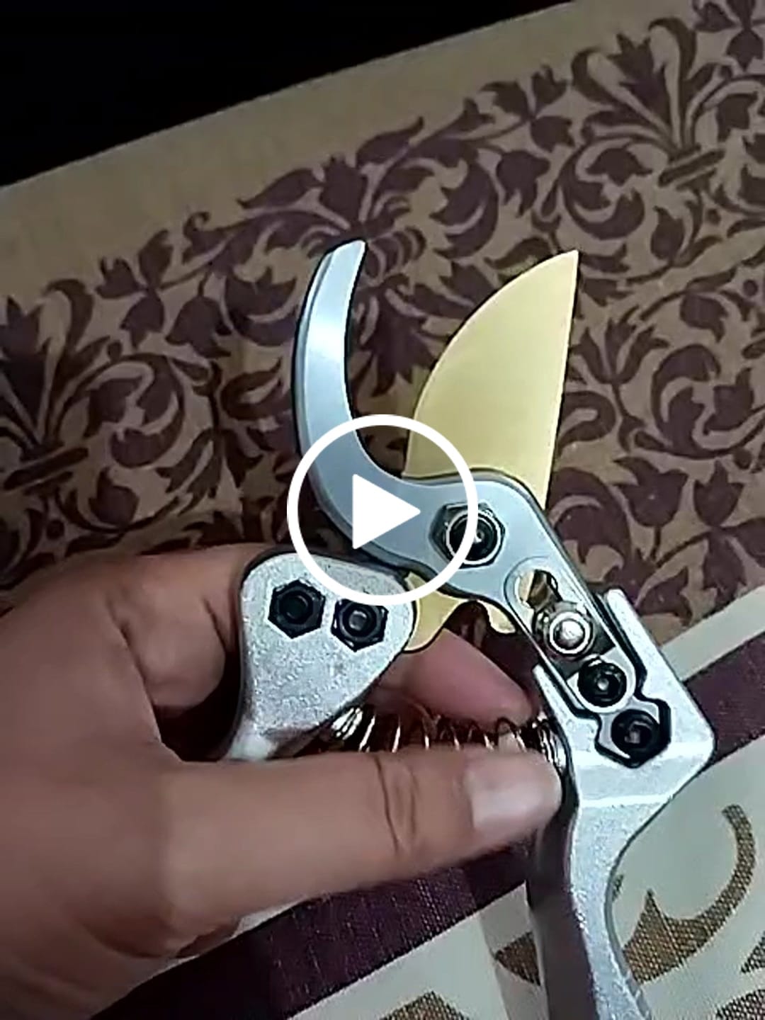 Customer video review of Professional Pruning Shear