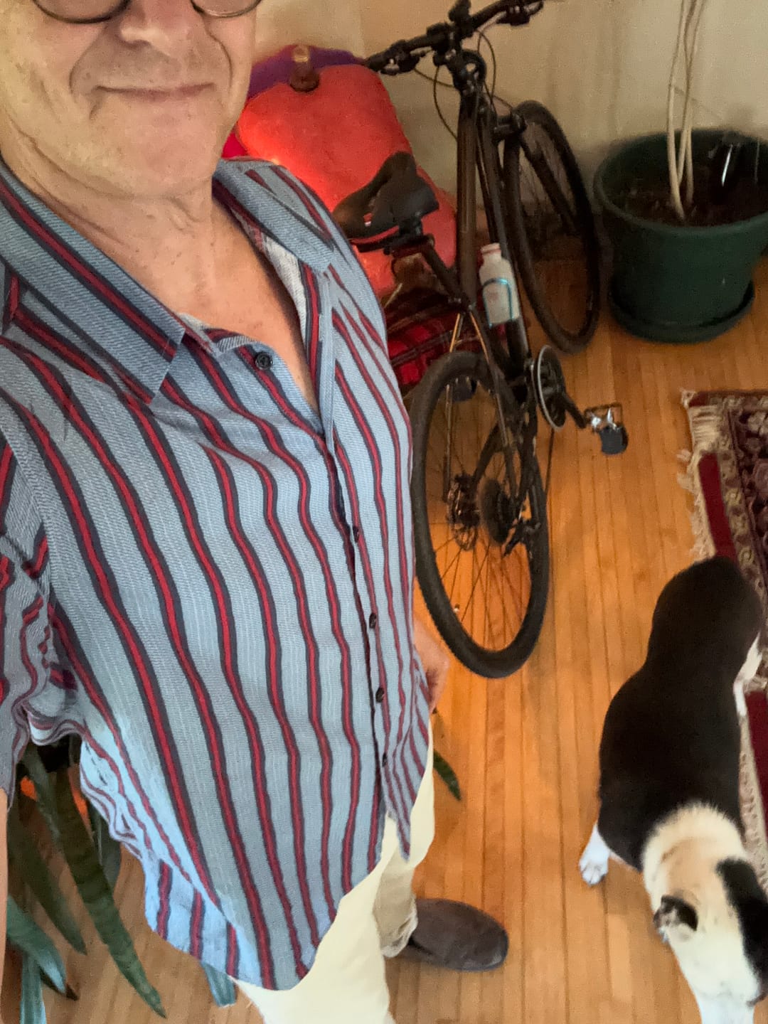 Customer photo review of Men's Casual Short Sleeve Blue Striped Shirt