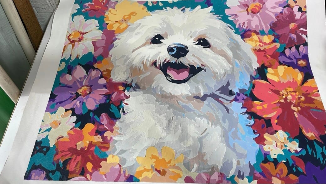 Customer photo review of Bichon Frise