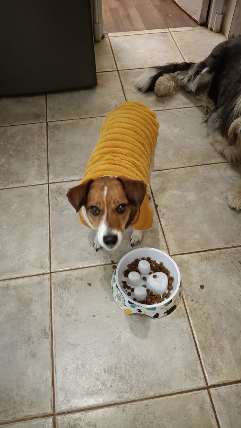 Customer photo review of PetFamily Foods