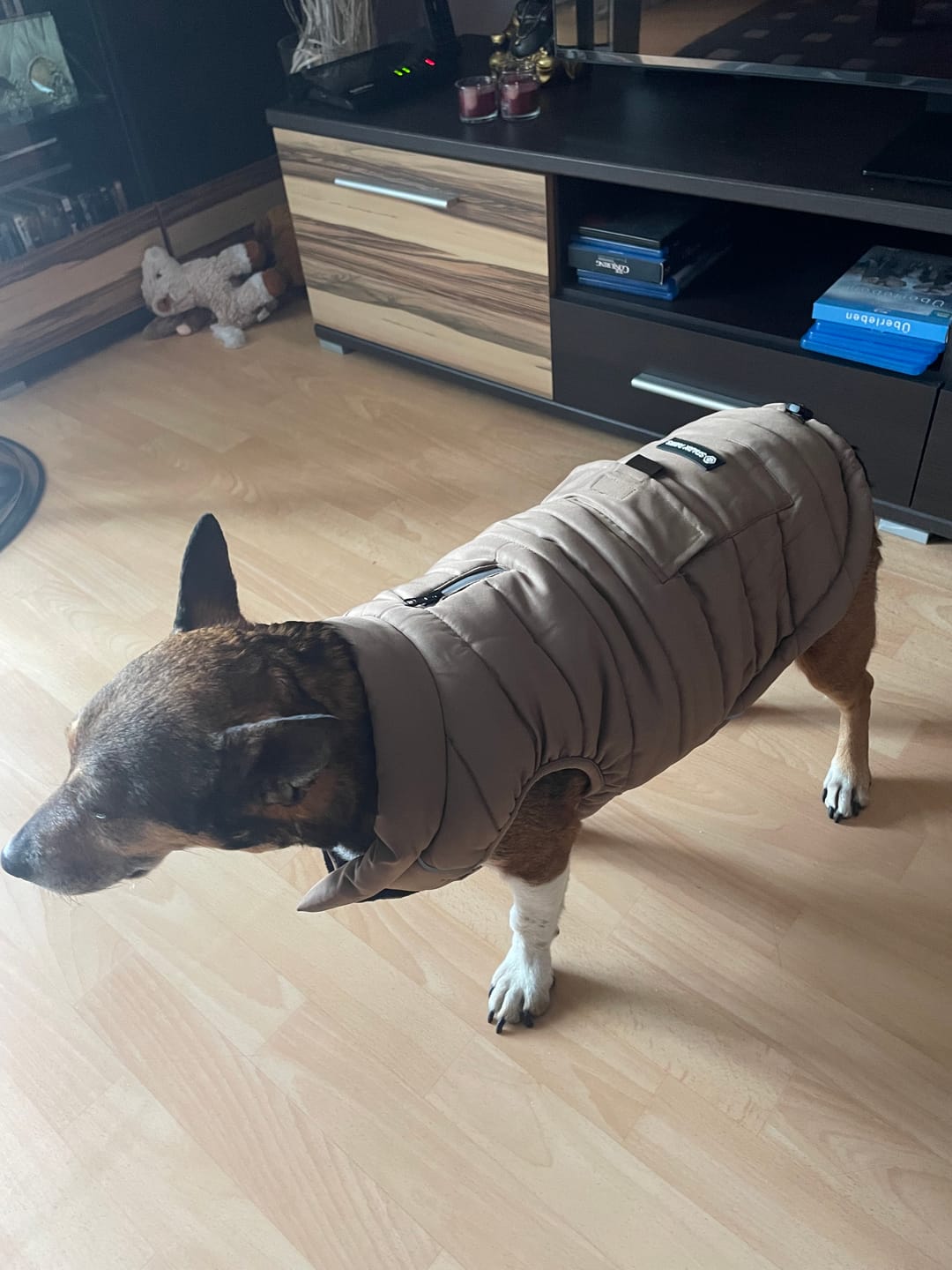 Customer photo review of WarmShield Water-Resistant Jacket - Tan