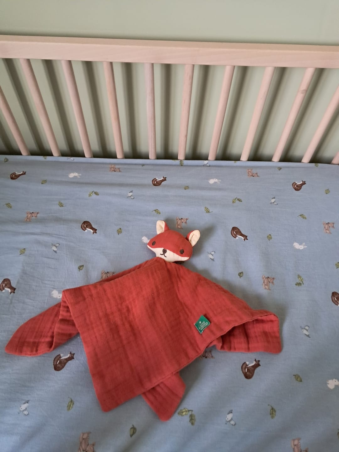 Customer photo review of Little Fox Organic Baby Muslin Comforter