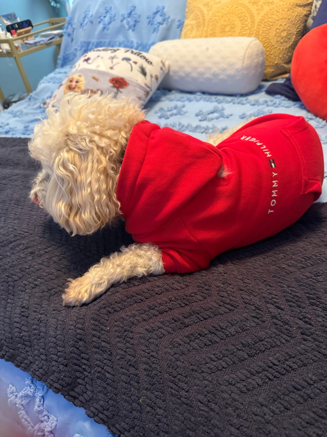 Customer photo review of Tommy Hilfiger Dog Logo Hoodie