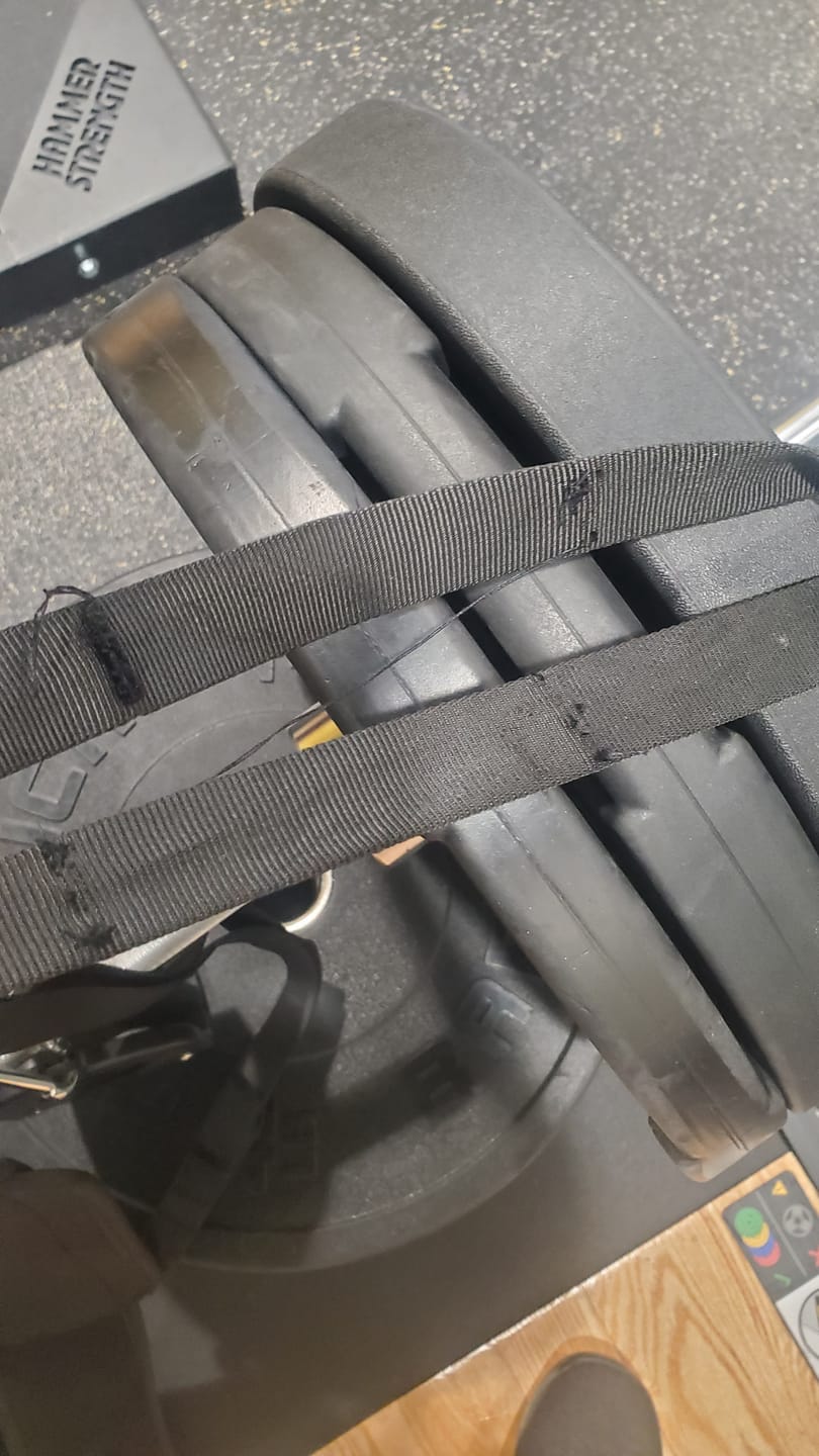 Customer photo review of Dip Belt