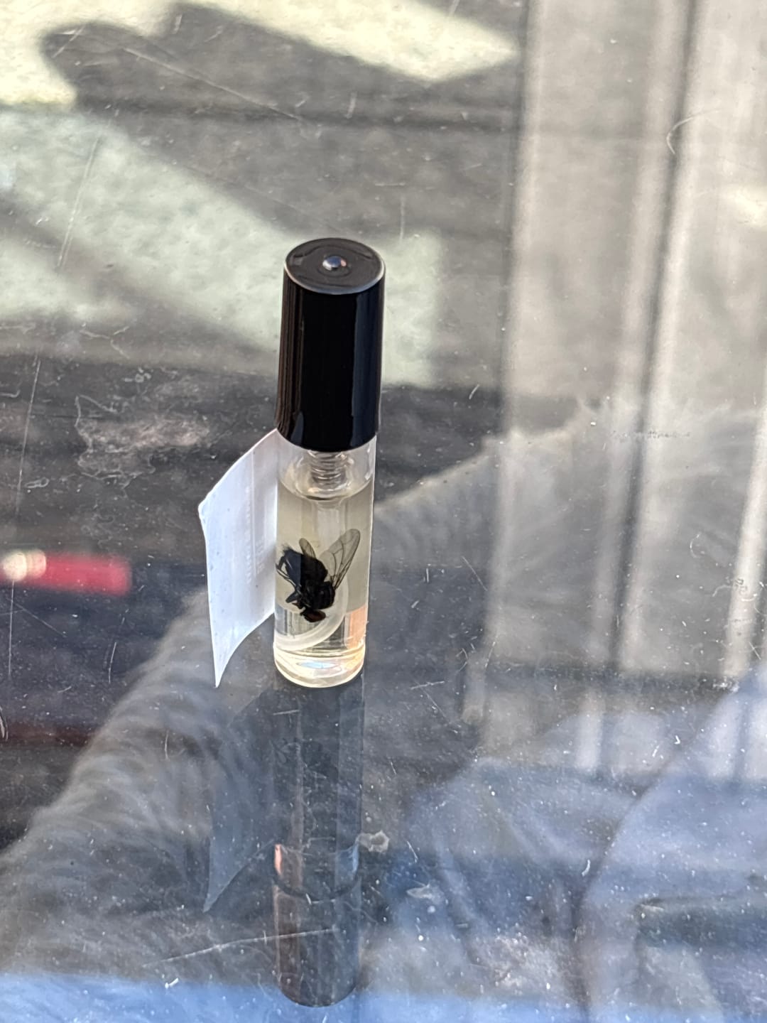 Customer photo review of Blue