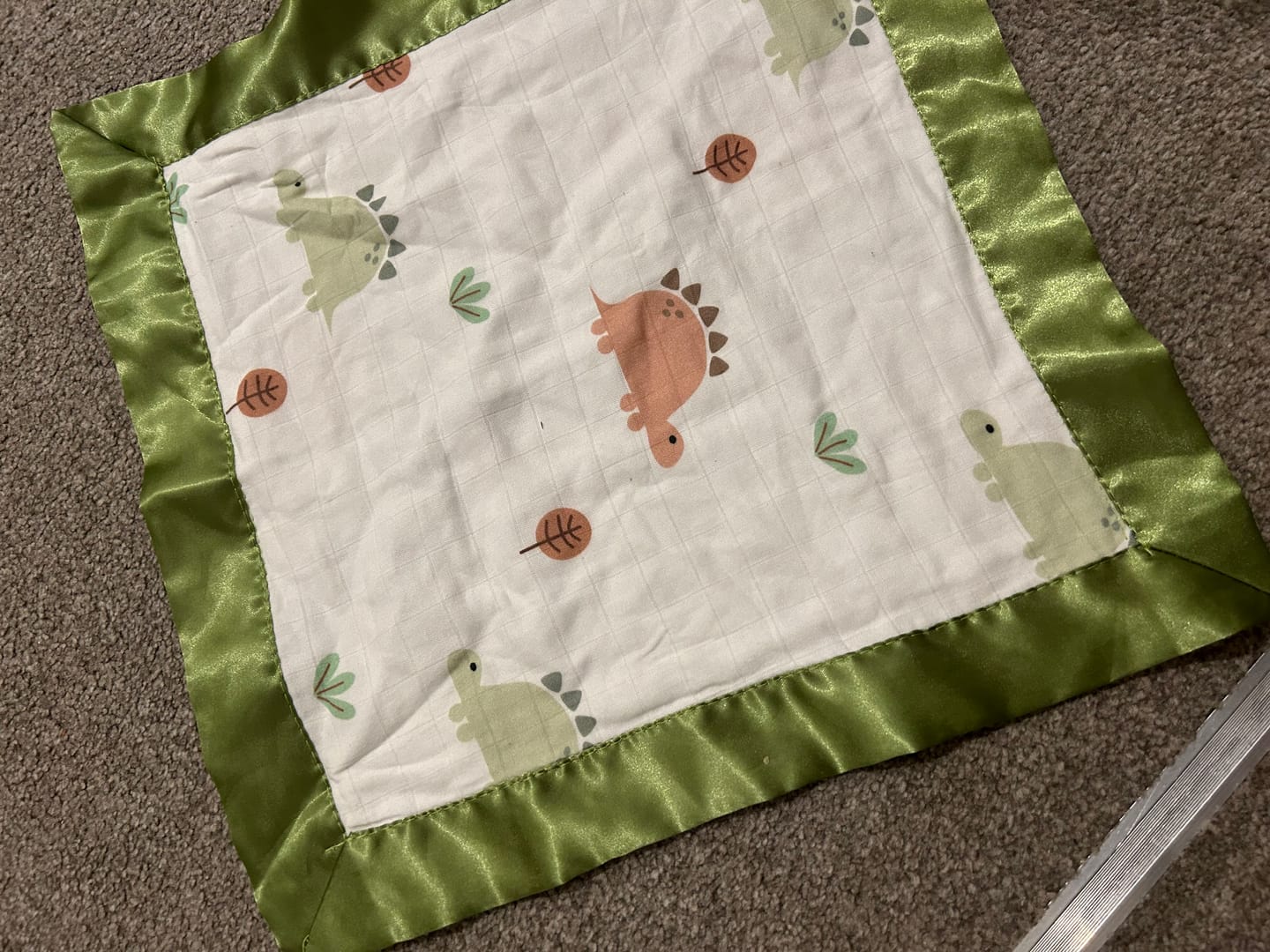 Customer photo review of Dinosaur Satin Edge Muslin Comforter | 2-Pack | Sage Satin