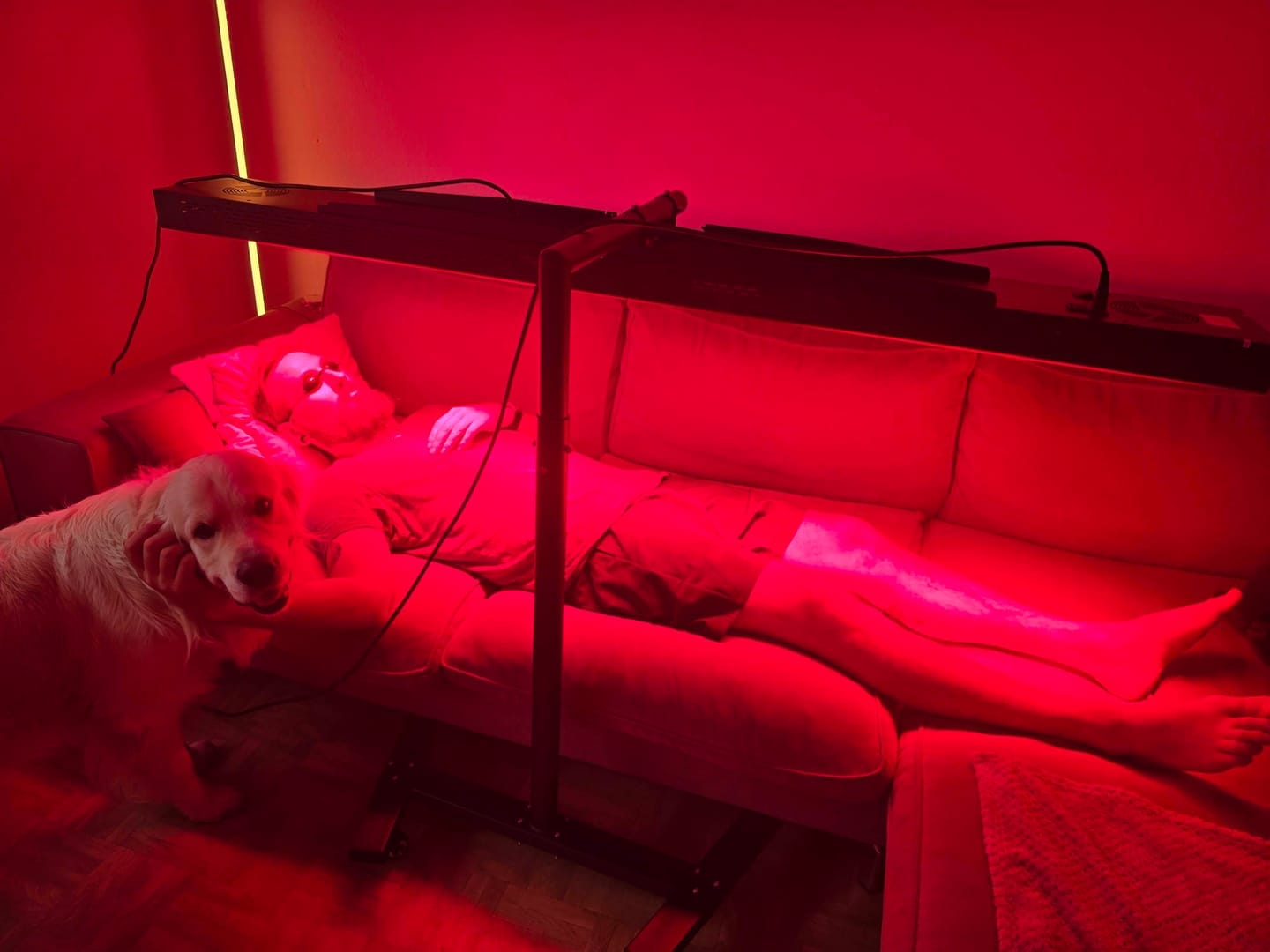 Customer photo review of Koanna® Luma1000™ – Powerful, Mid-Size Red Light Therapy Panel