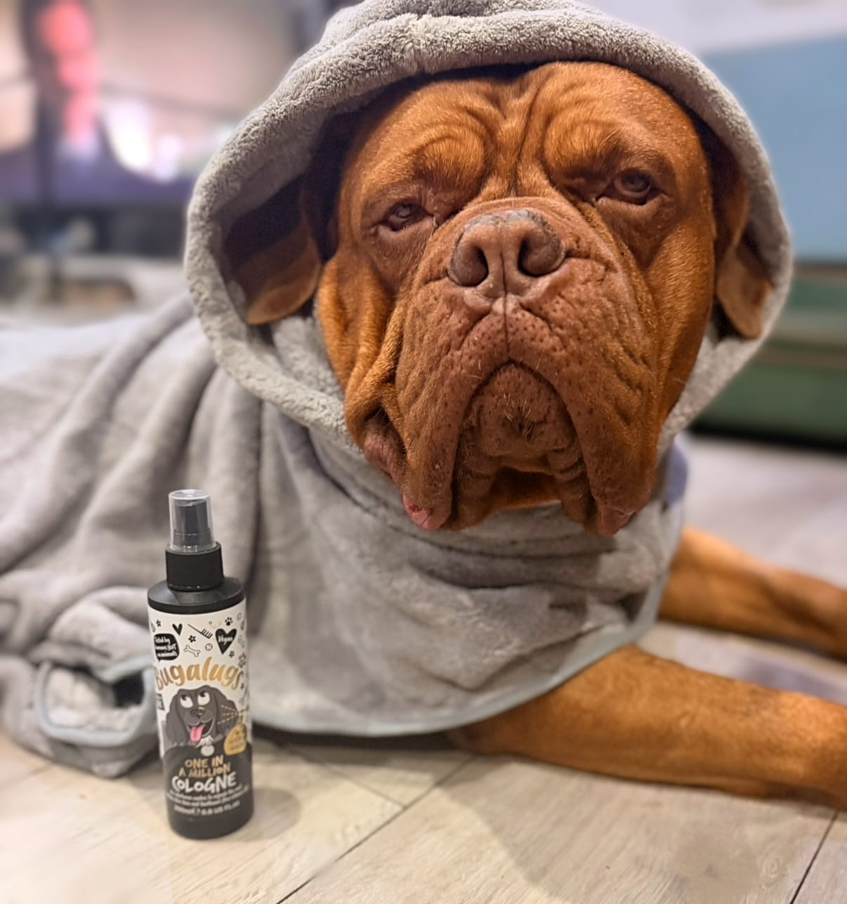 Customer photo review of One in a Million Dog Cologne