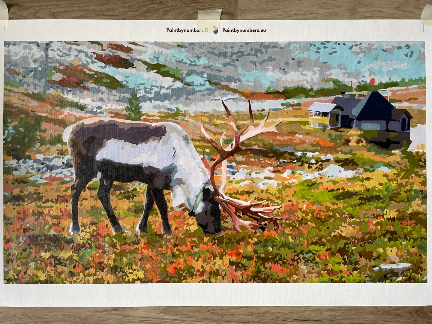 Customer photo review of Numeromaalaus omasta kuvasta